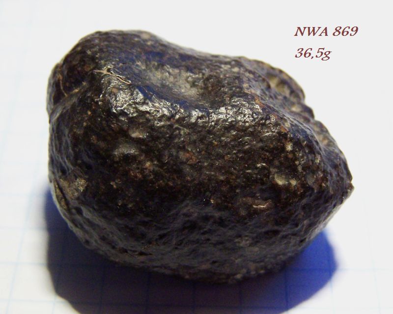 nwa869_36,5g.jpg