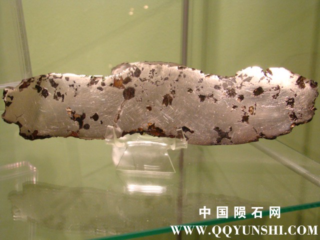 Seymchan (Pallasite, PMG).jpg