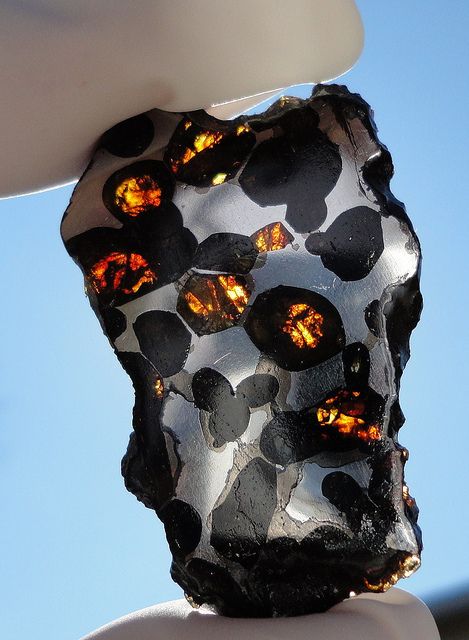 Springwater Meteorite.jpg
