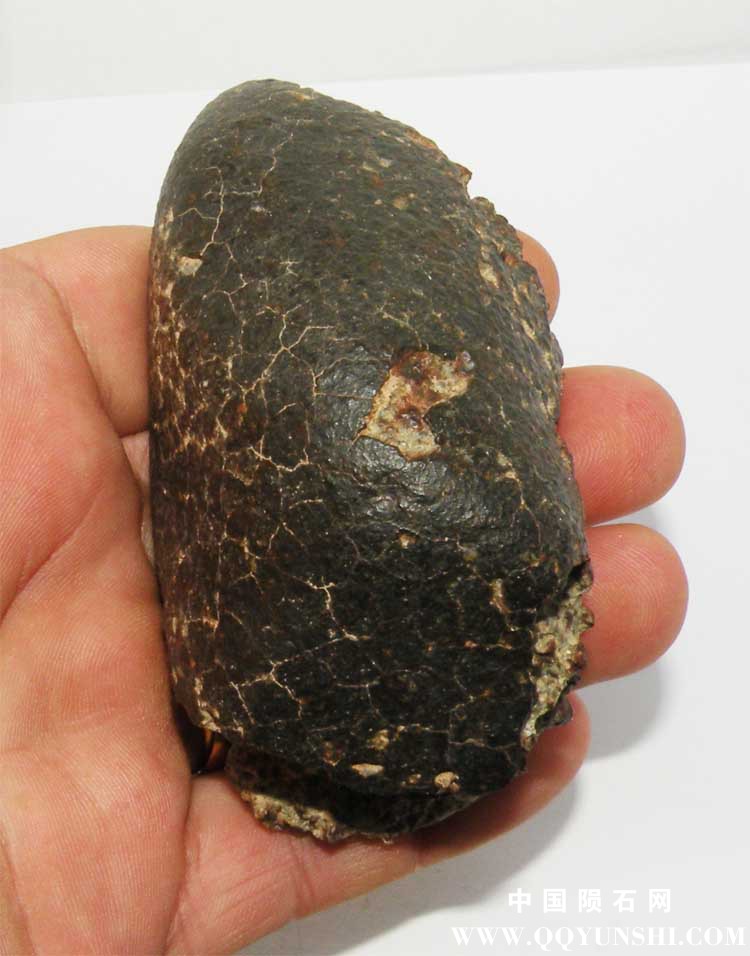 16 Abdellah NWA k.jpg
