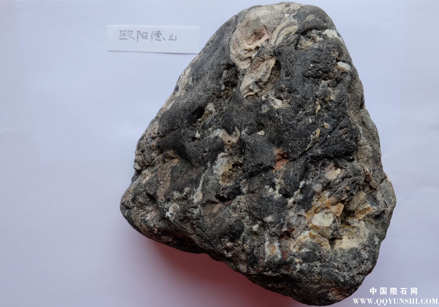 DSCF1722.JPG