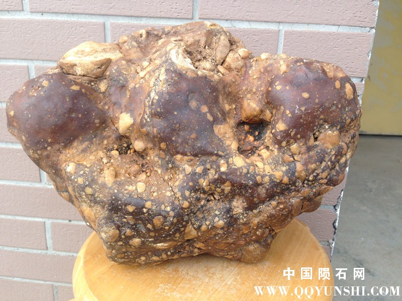 IMG_2720_副本.jpg