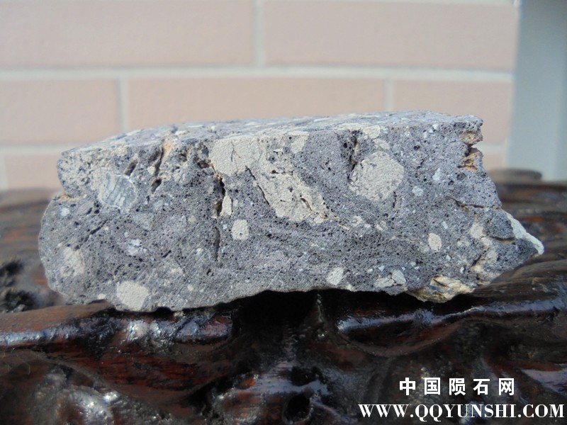 DSC02045_副本.jpg
