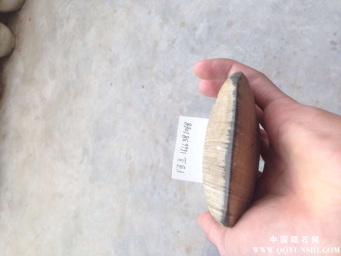QQ图片20151123210728.jpg