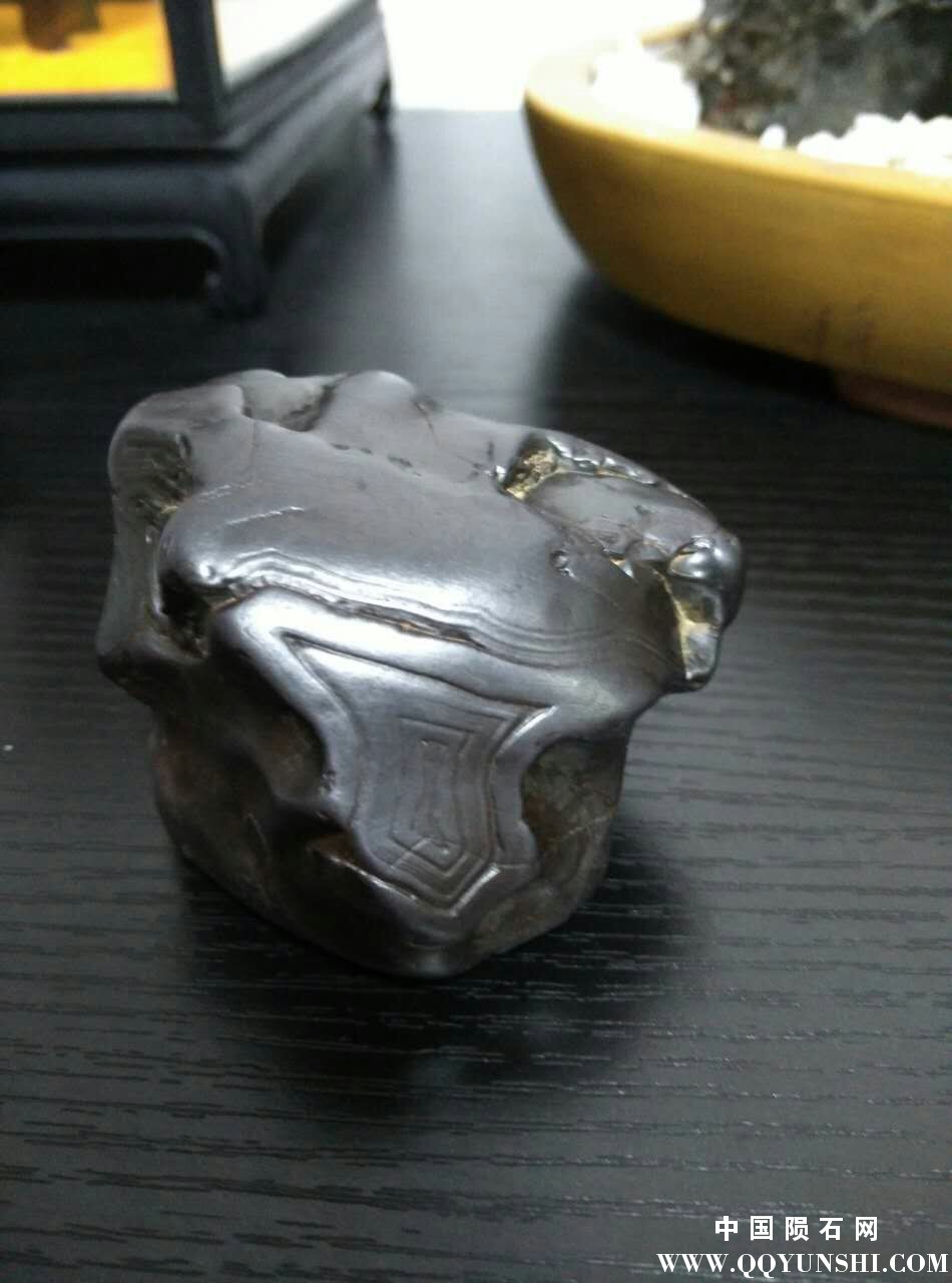黑猿背面