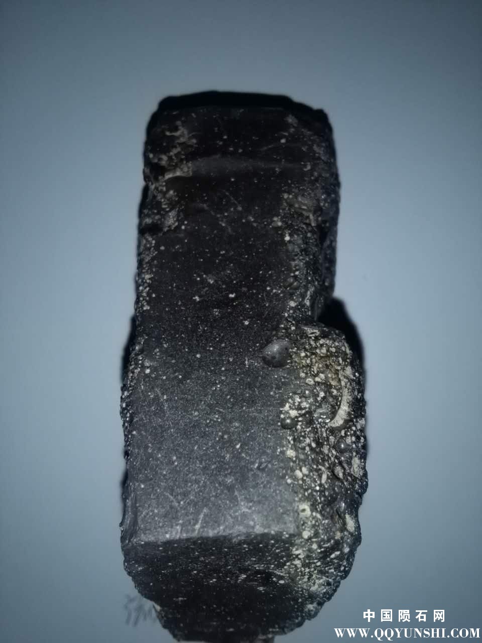9064017594432907.jpg