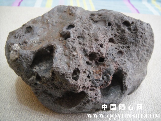 DSC07864.JPG