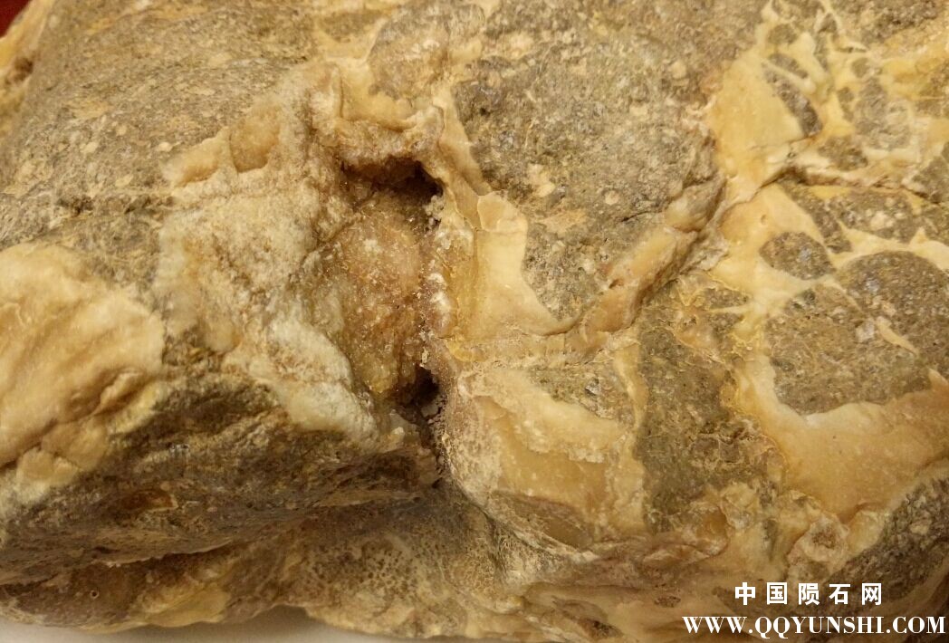 QQ图片20151221103040.jpg