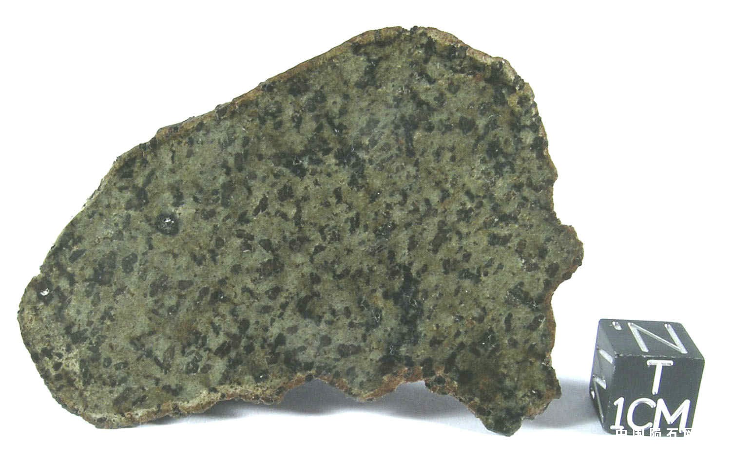 DSCN7951.JPG
