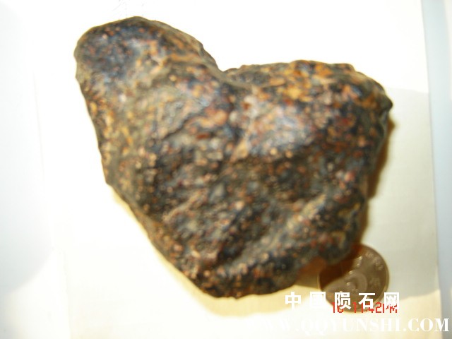 DSC03367.JPG