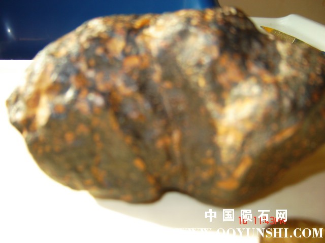 DSC03368.JPG
