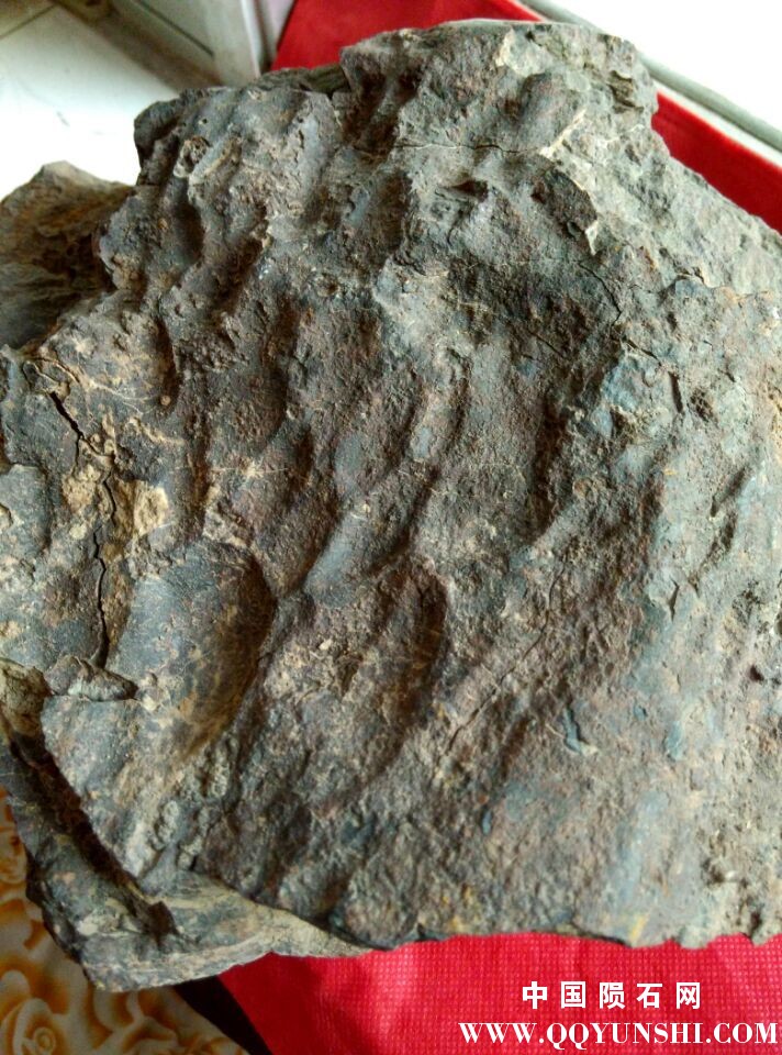 QQ图片20151209191514.jpg