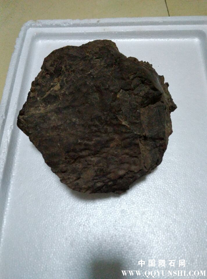QQ图片20151209190936.jpg