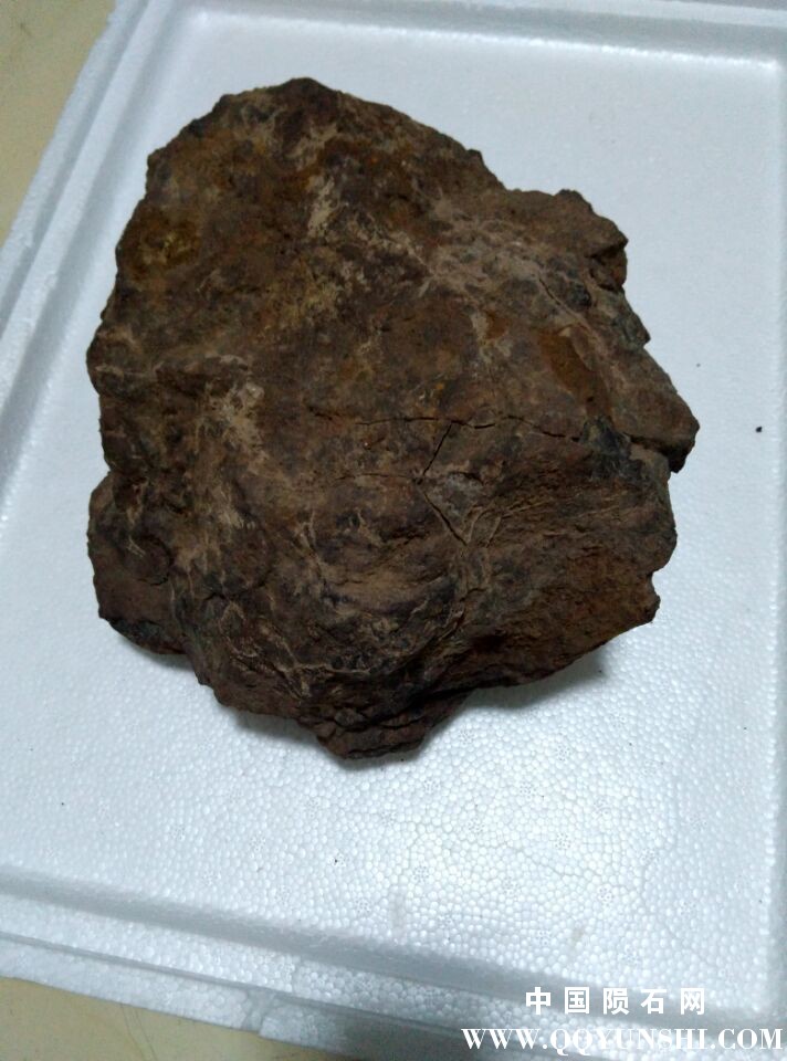 QQ图片20151209190939.jpg