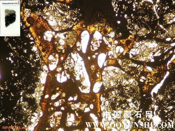 aiqpaqexin0037.jpg