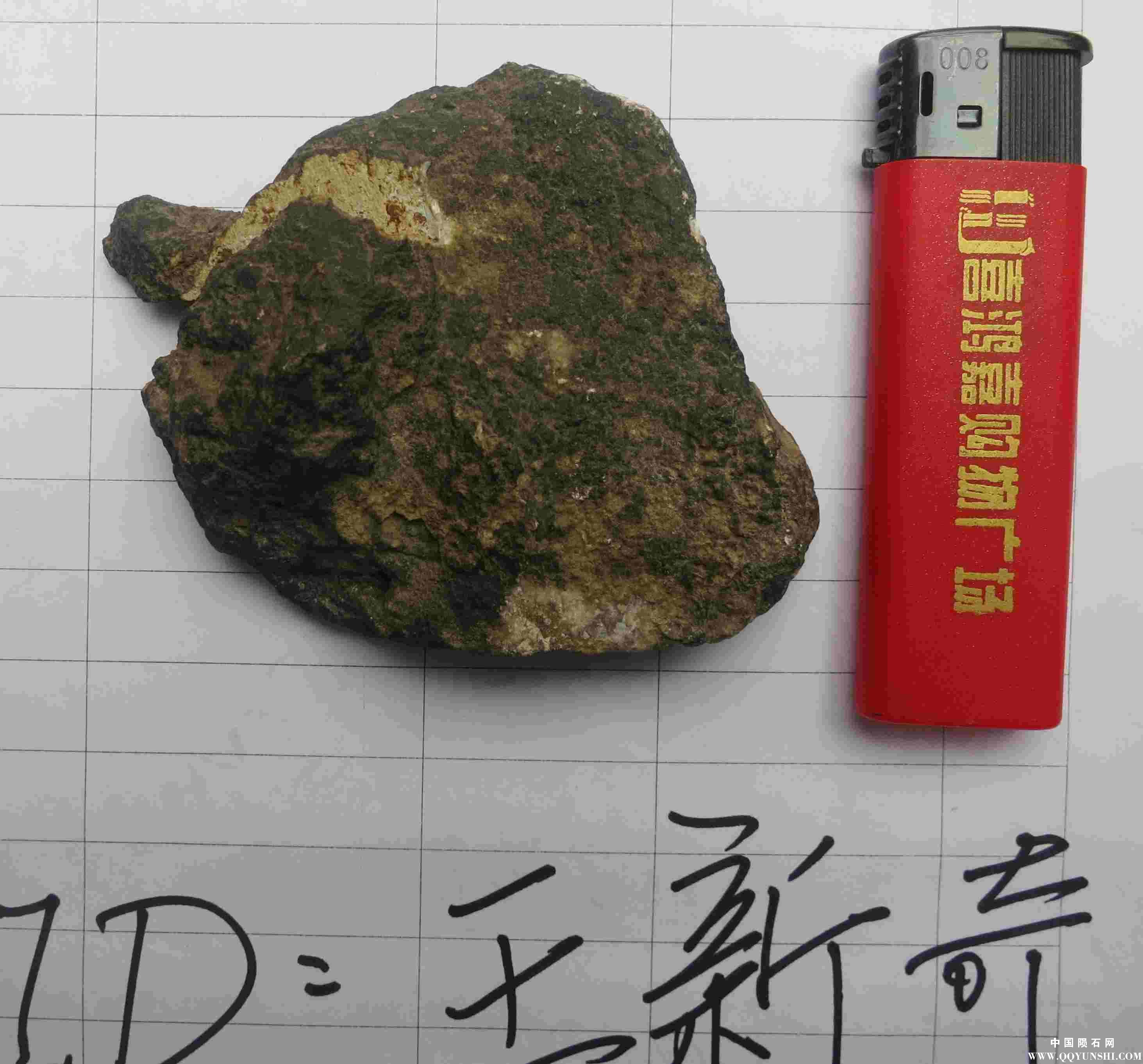 照片 041.jpg
