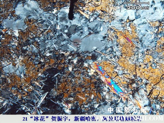 001WkFBgty6Zm4B3nvwb6&amp;690.jpg