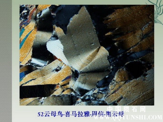 001WkFBgty6Zm4E3XbLad&amp;690.jpg