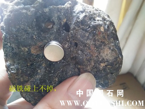 IMG20160214121745.jpg