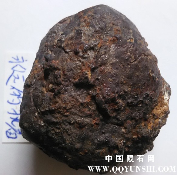 IMG20160222114018.jpg