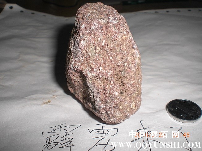 CIMG2793.JPG