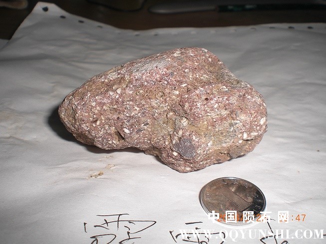 CIMG2798.JPG
