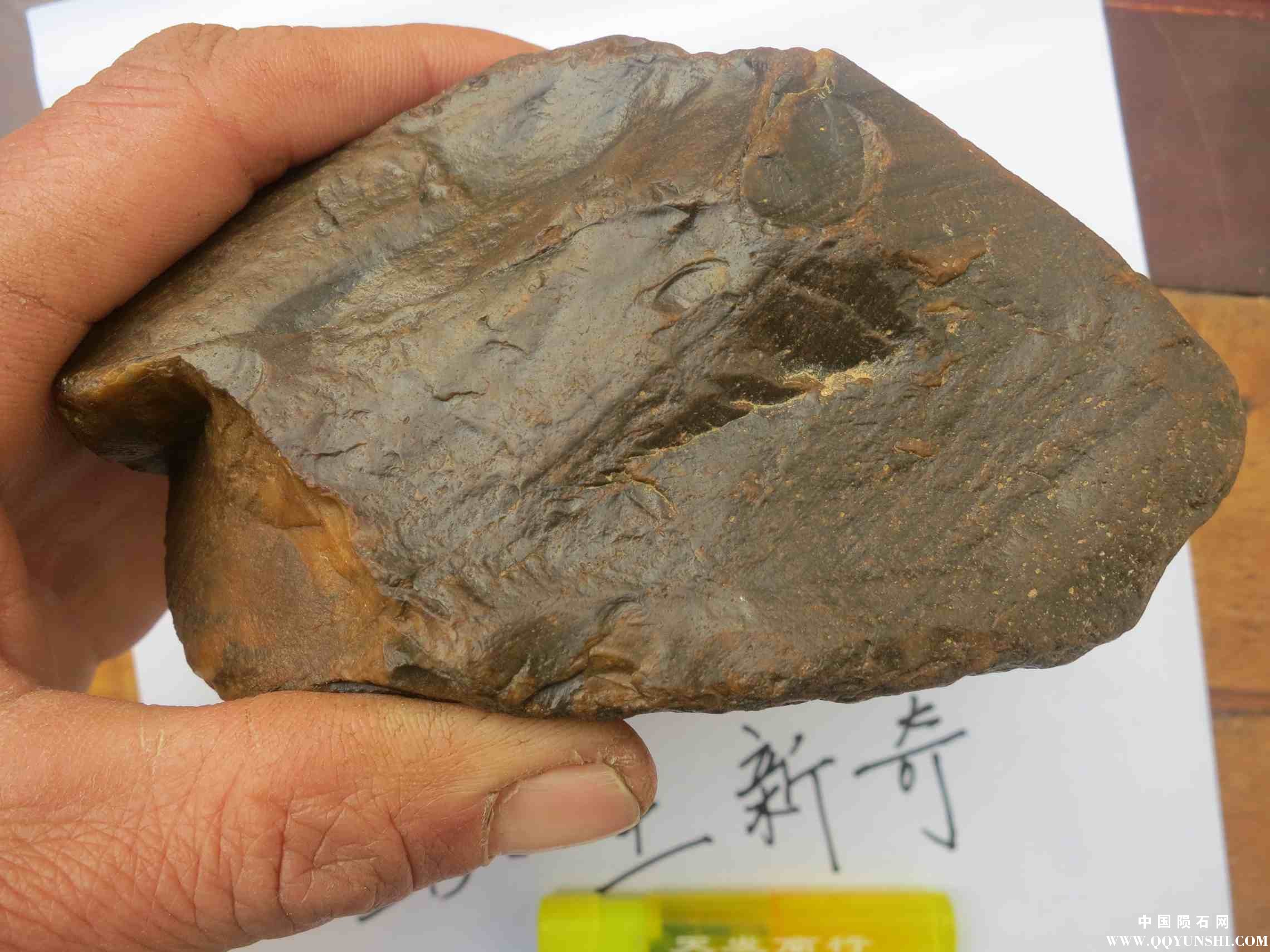 照片 139.jpg