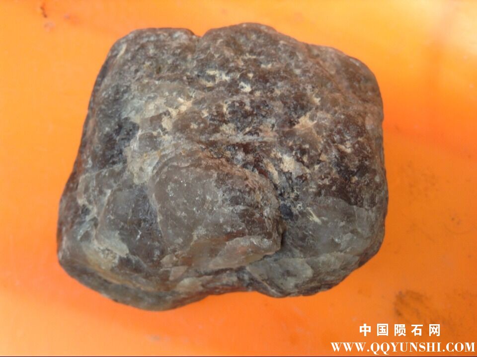 QQ图片20160227110056.jpg