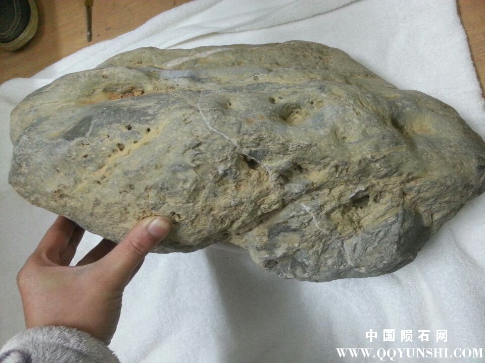 QQ图片20160228231933.jpg