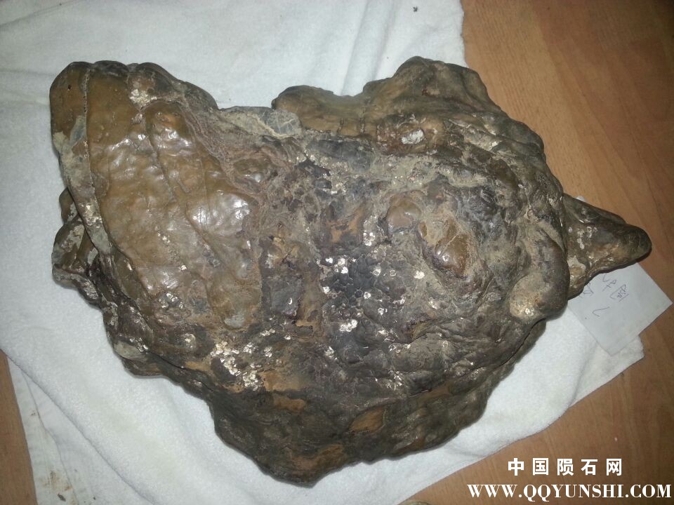 QQ图片20160228232543.jpg