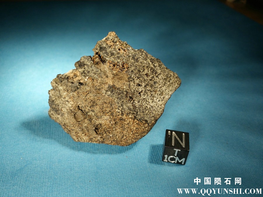 Dorbigny71-2.jpg