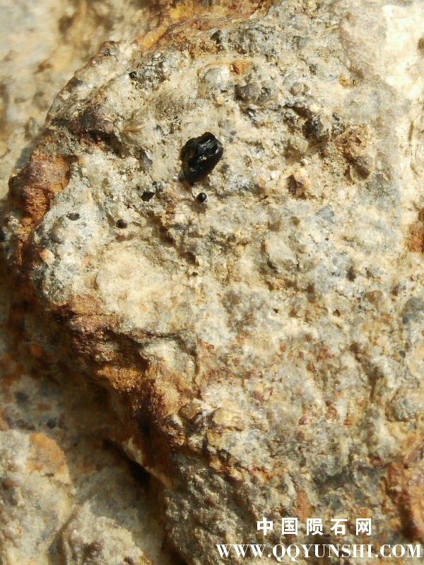 IMG20160224122555.jpg