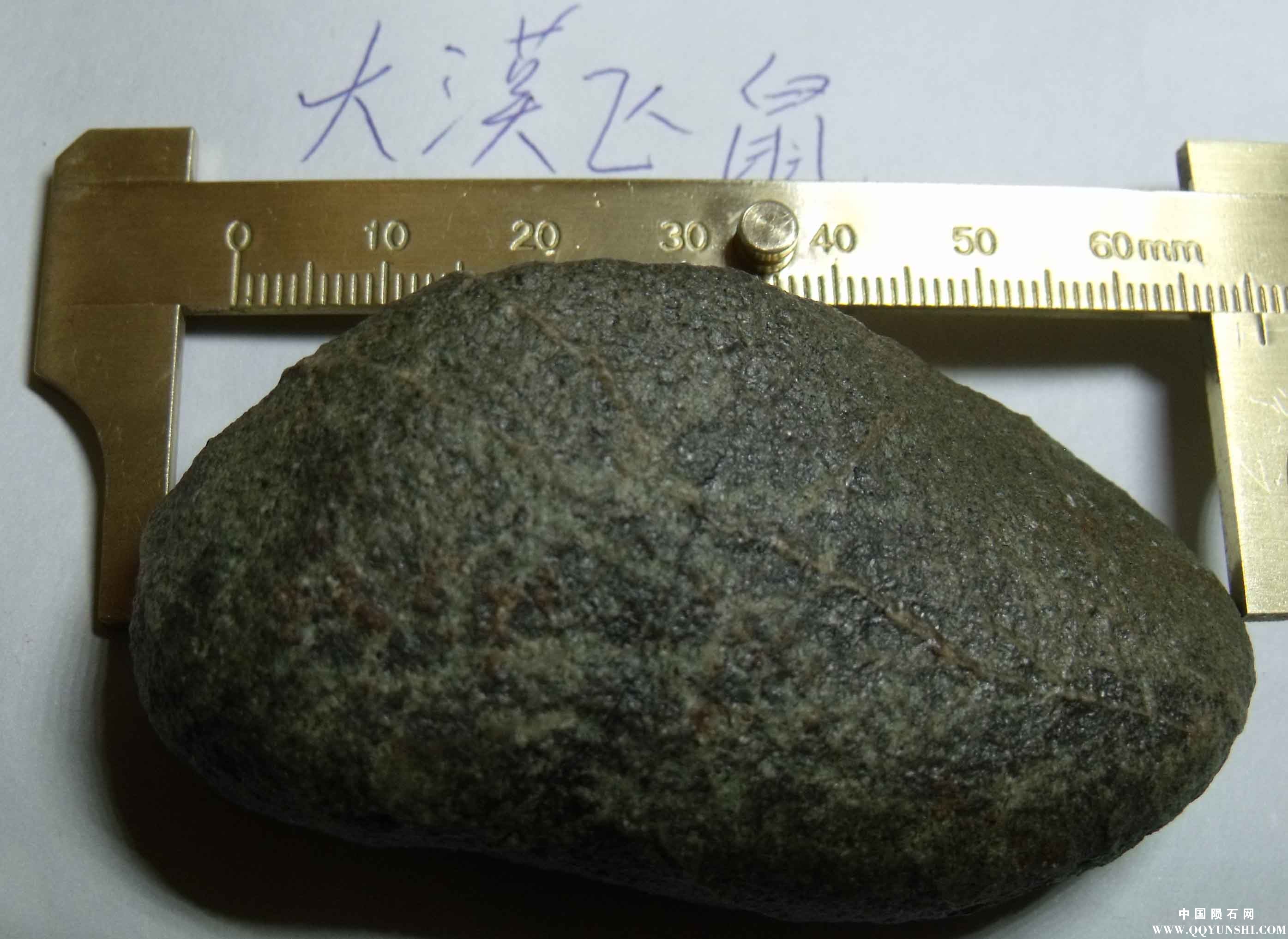 DSCF05951.jpg