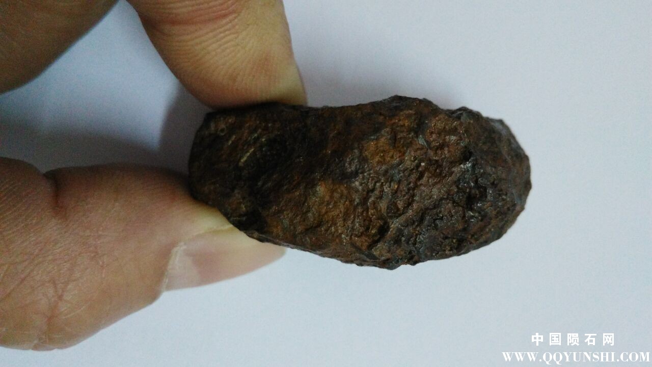 QQ图片20160315082324.jpg