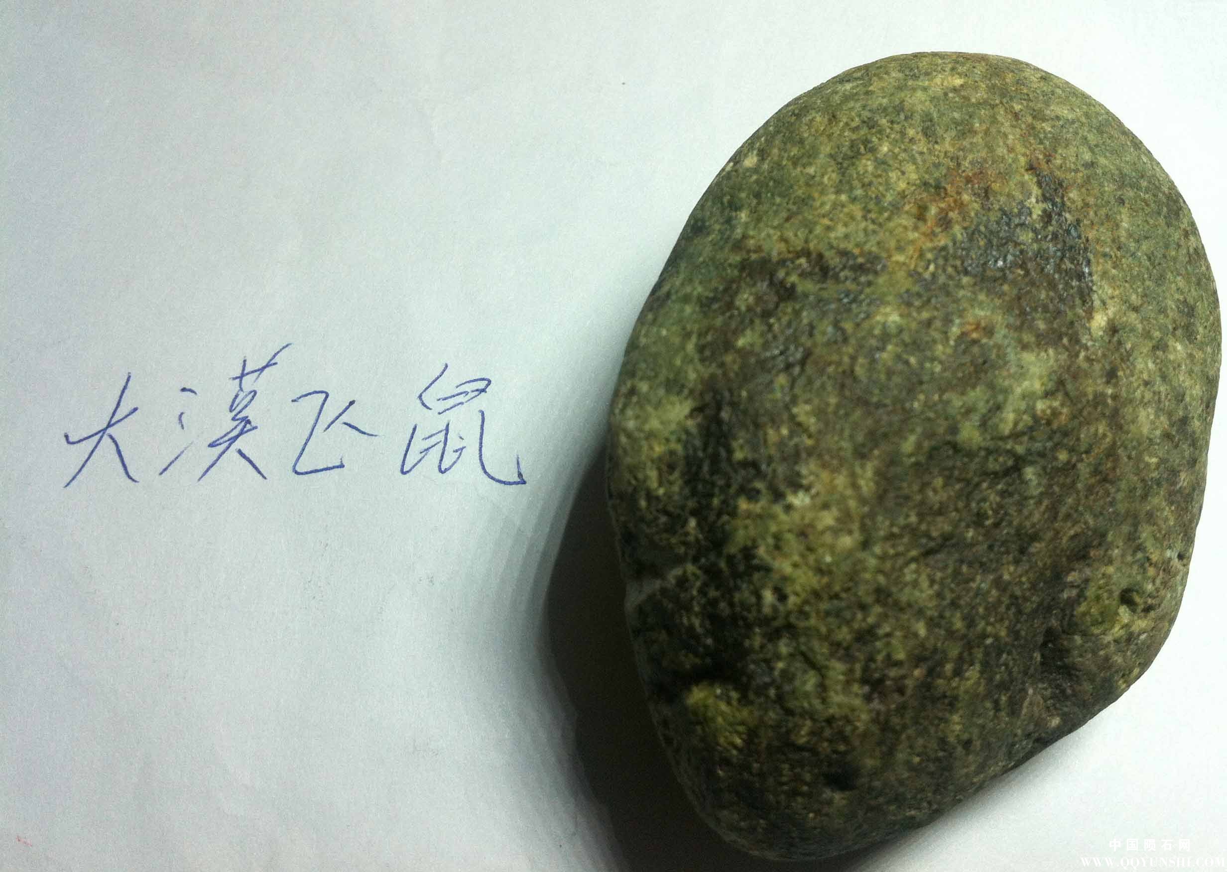 照片 0821.jpg