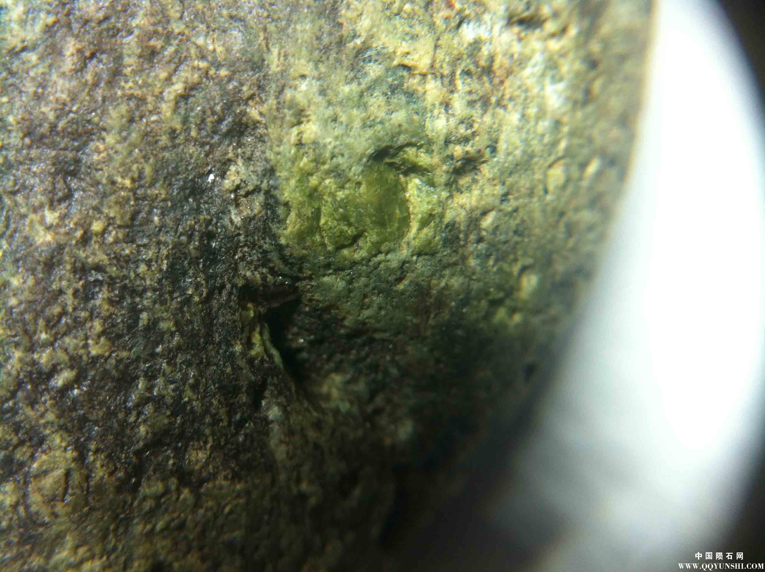 照片 0861.jpg