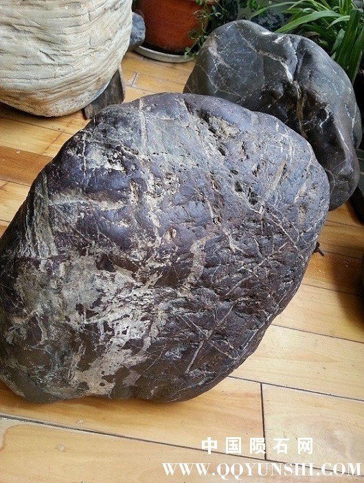 QQ图片20160323183501.jpg