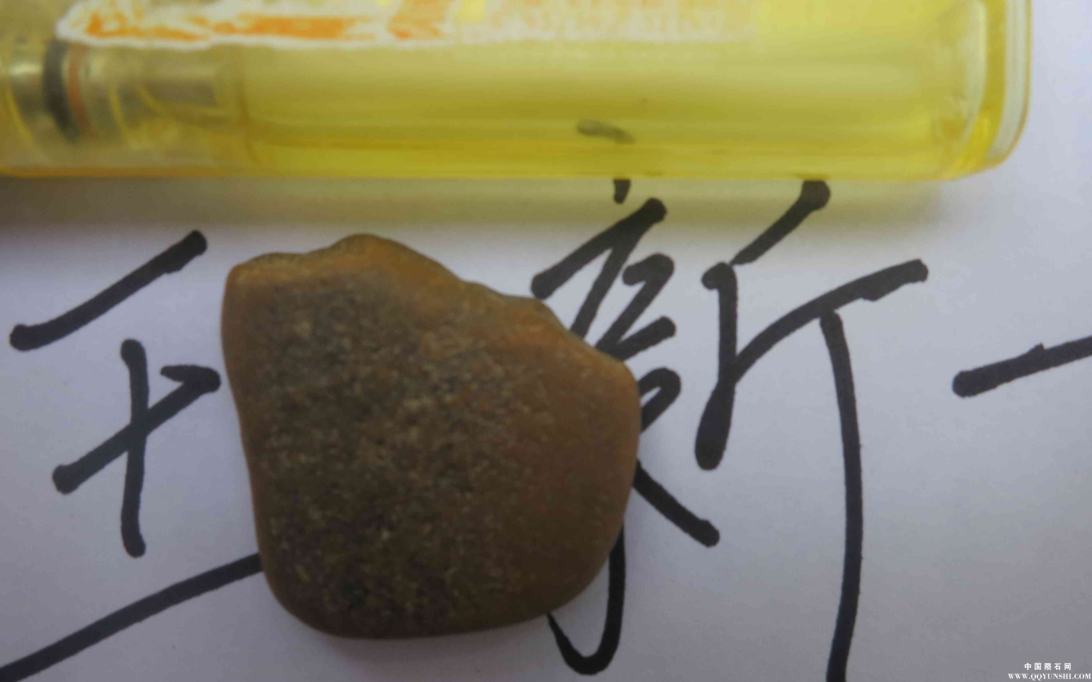 照片 229.jpg