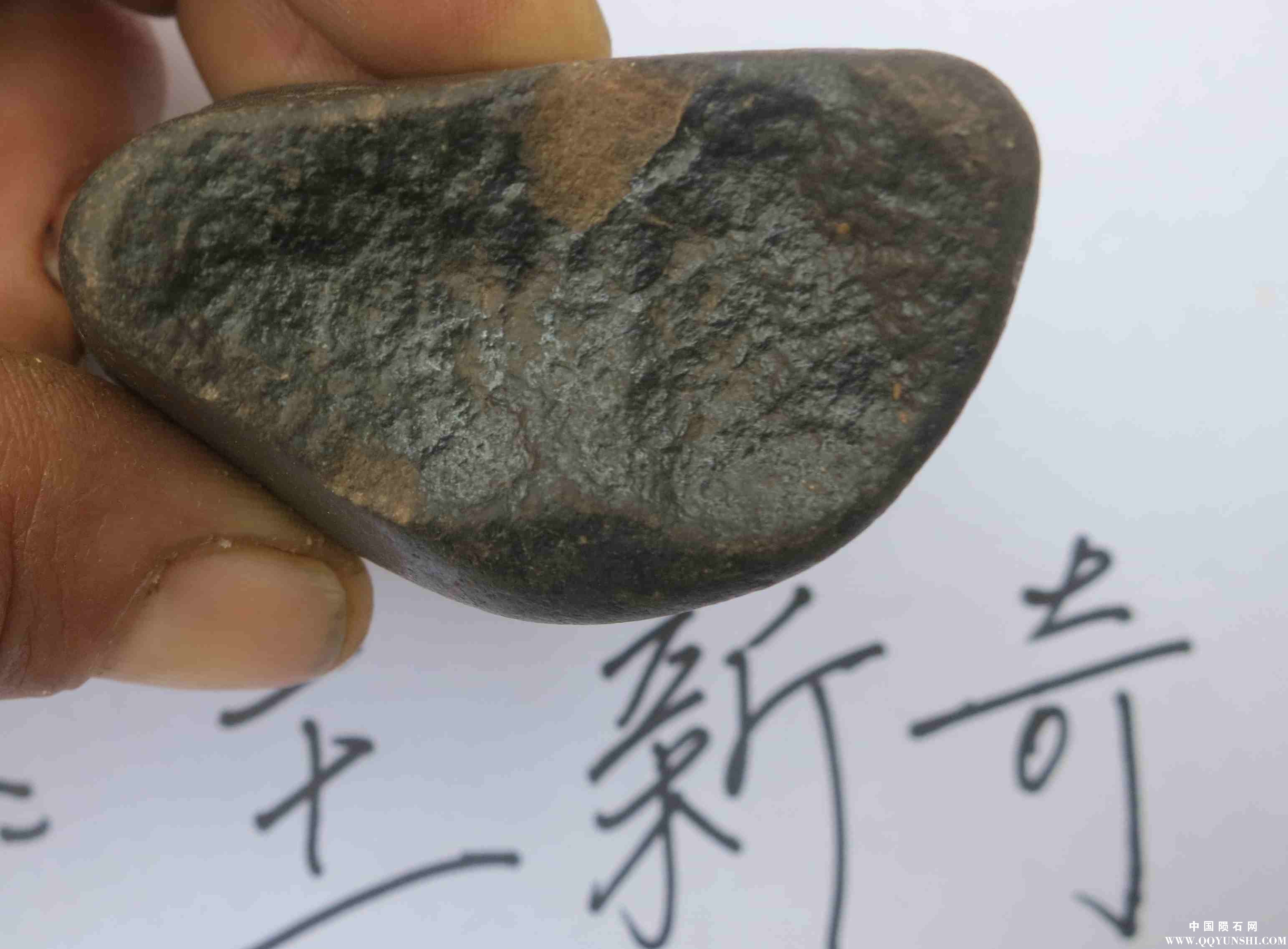 照片 228.jpg