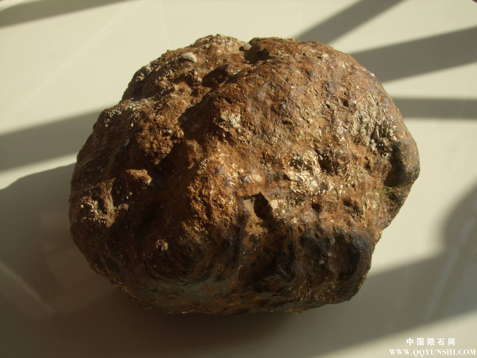 DSCF6512-1.jpg