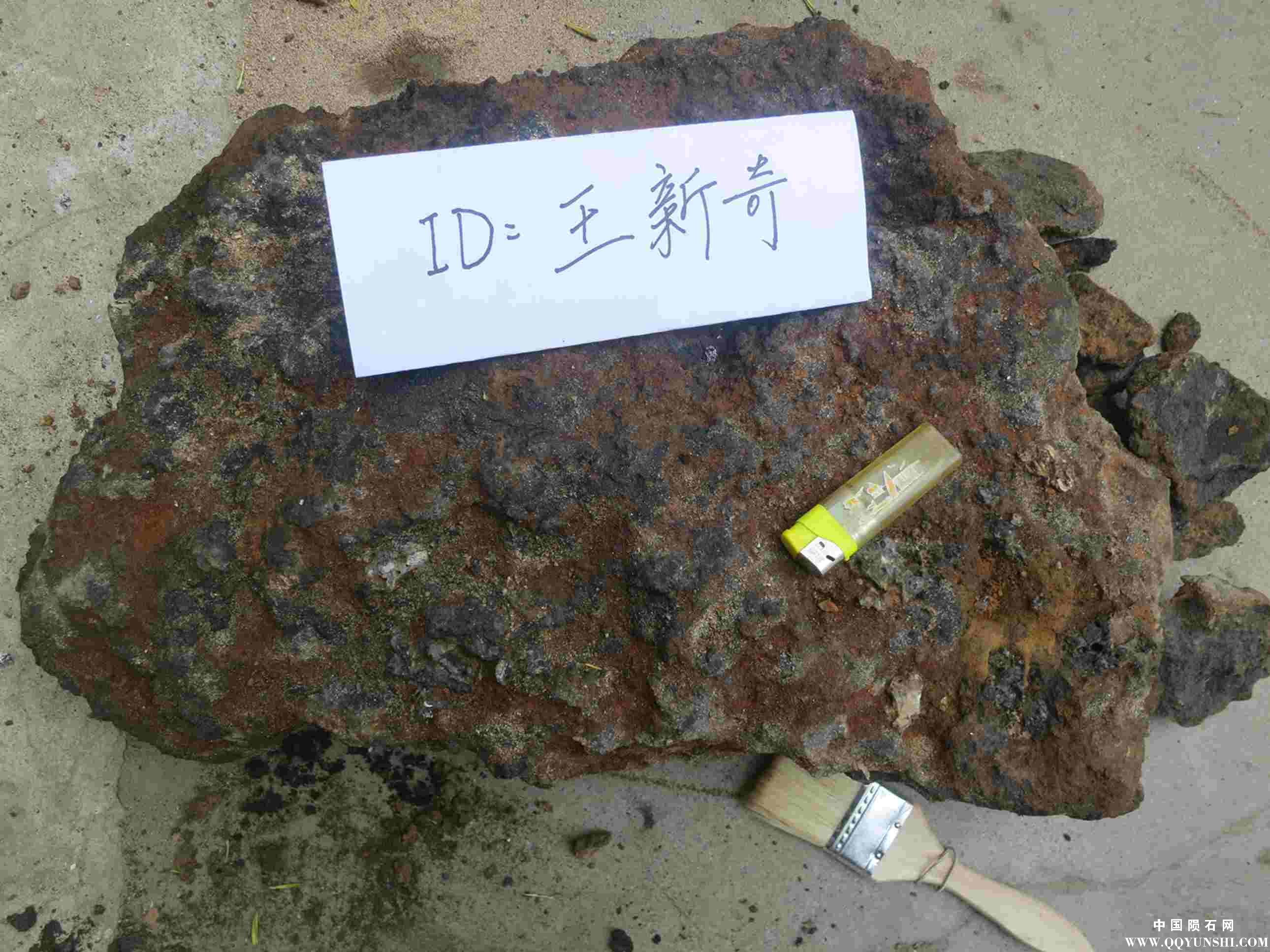 照片 297.jpg