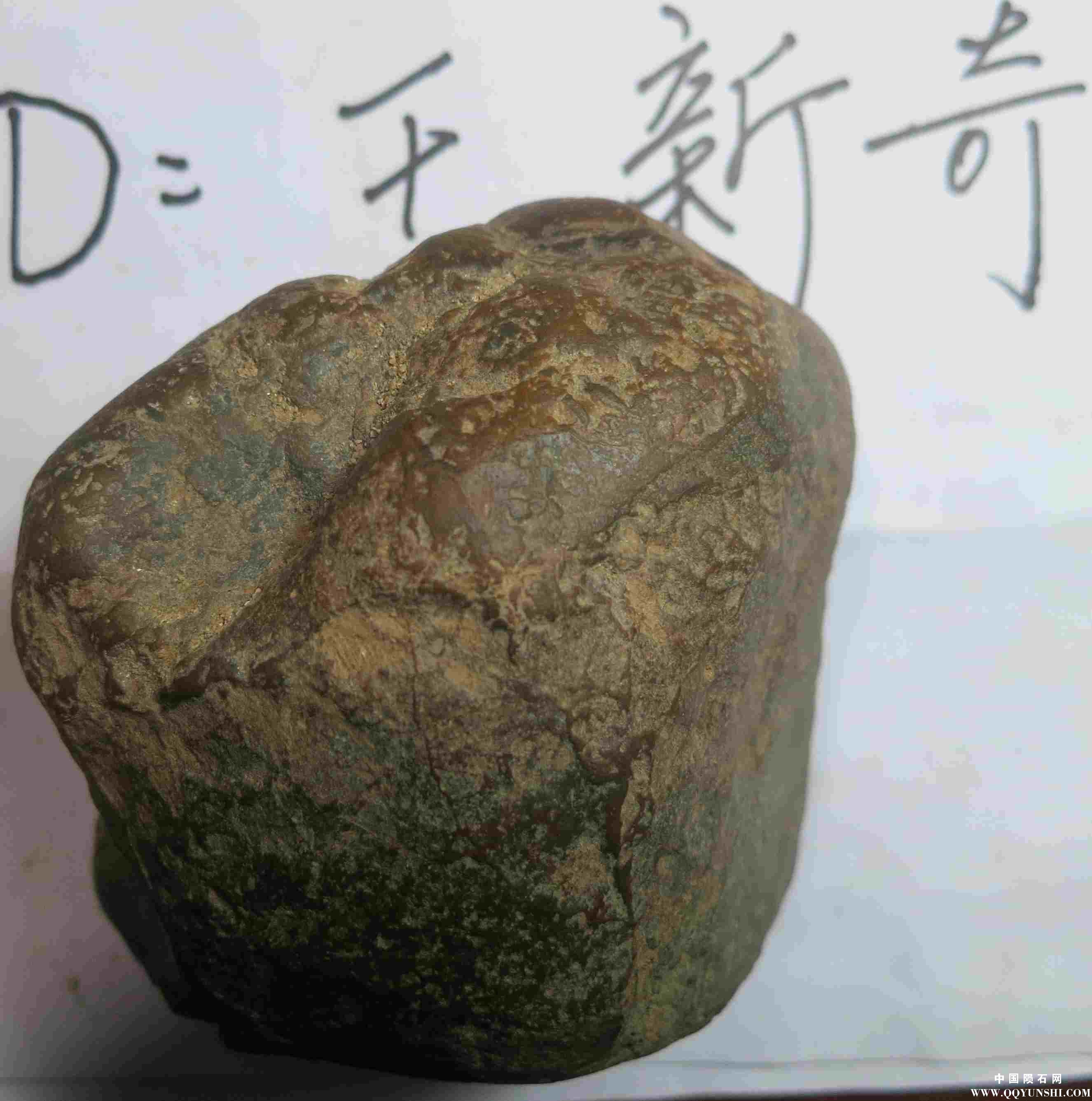 照片 399.jpg