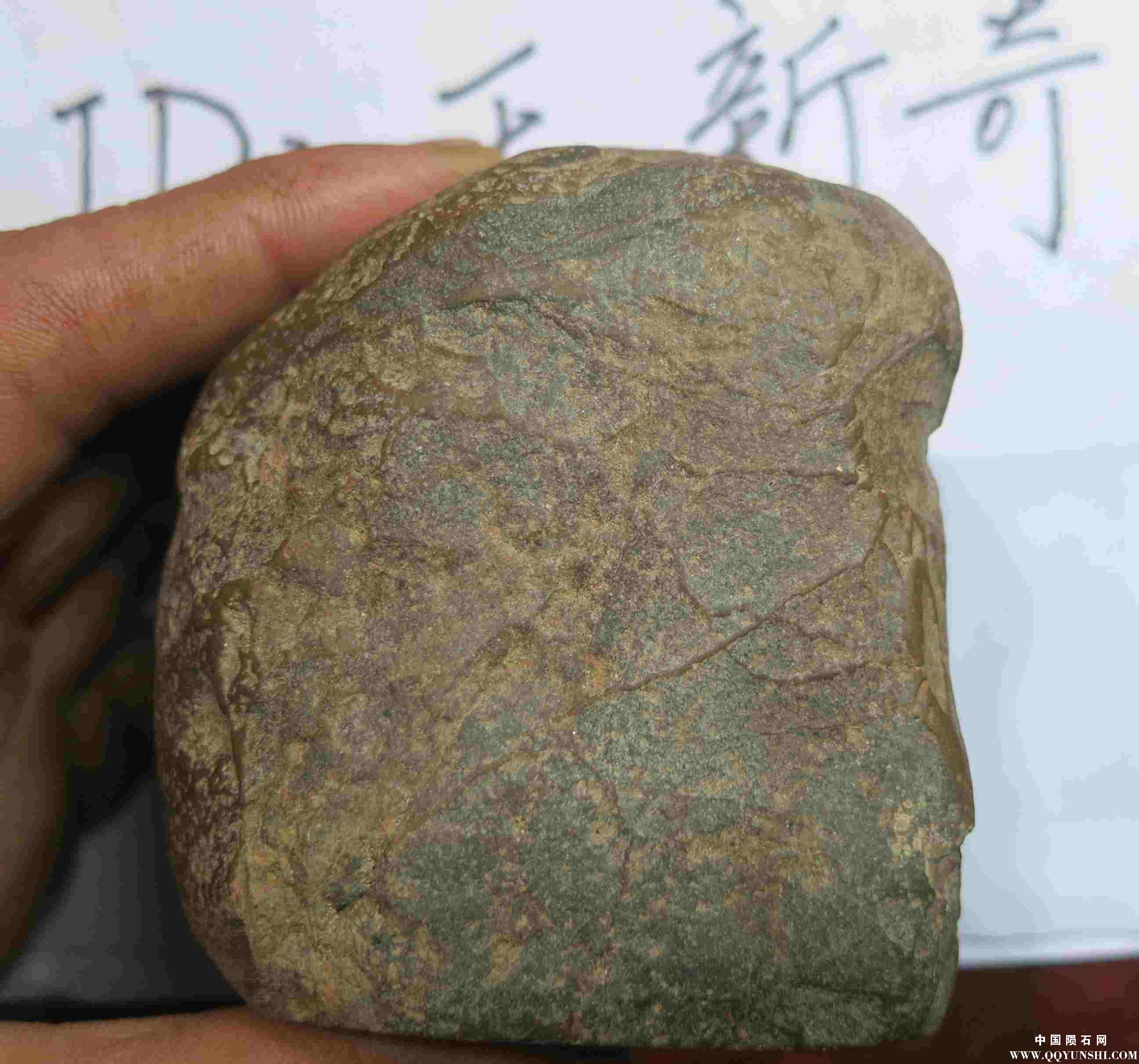 照片 401.jpg