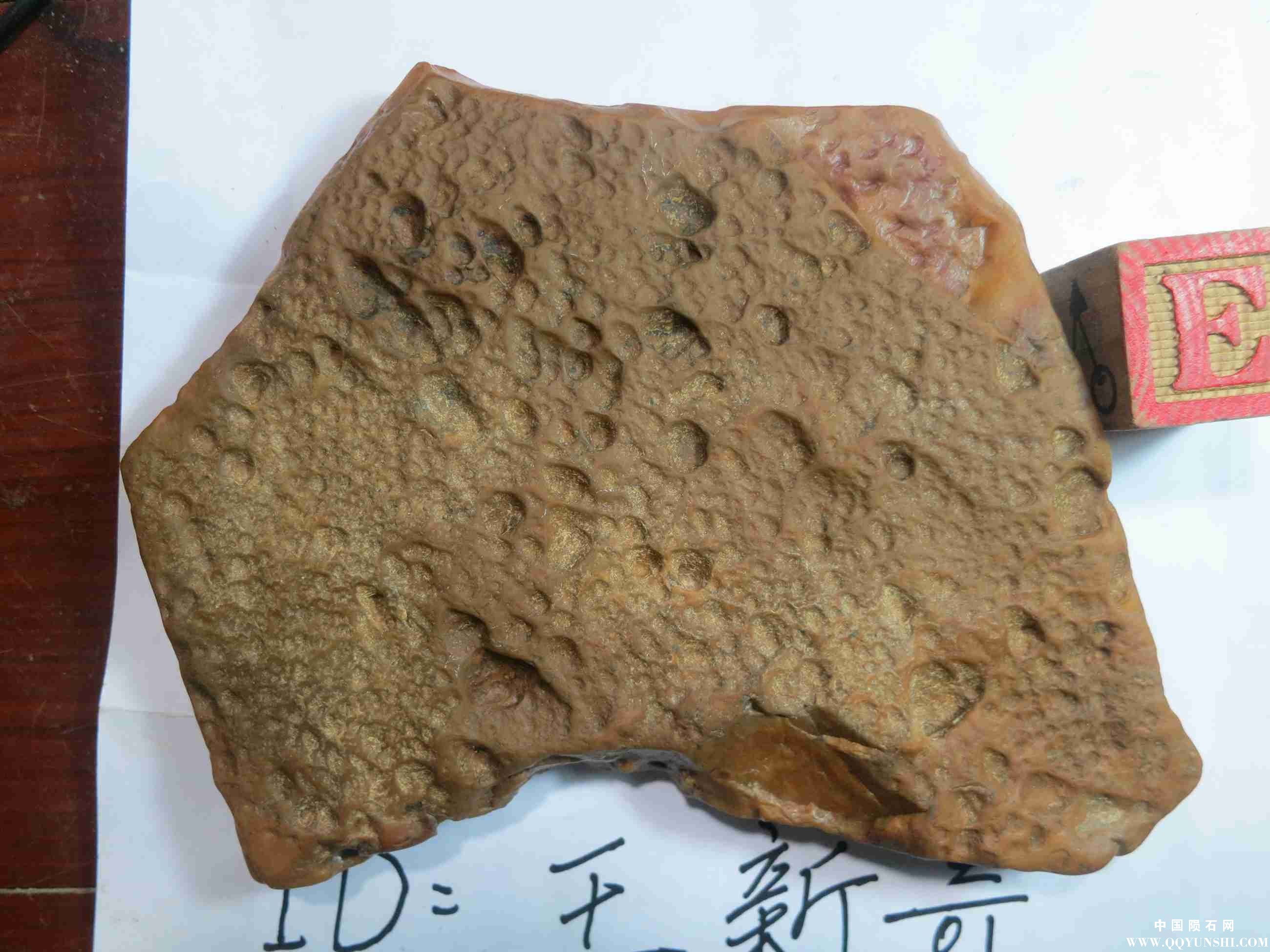 照片 461.jpg