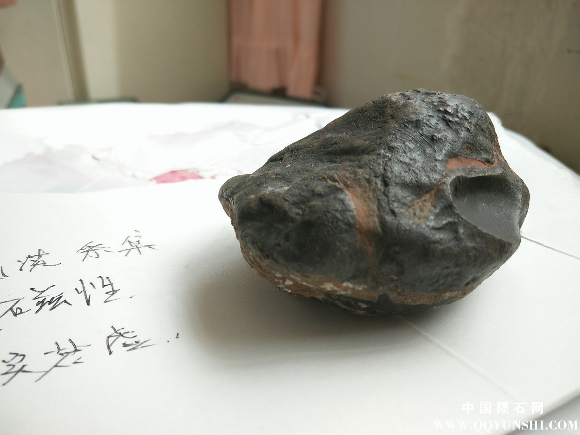 IMG20160409150945.jpg