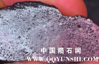 IMG_6593_副本.jpg