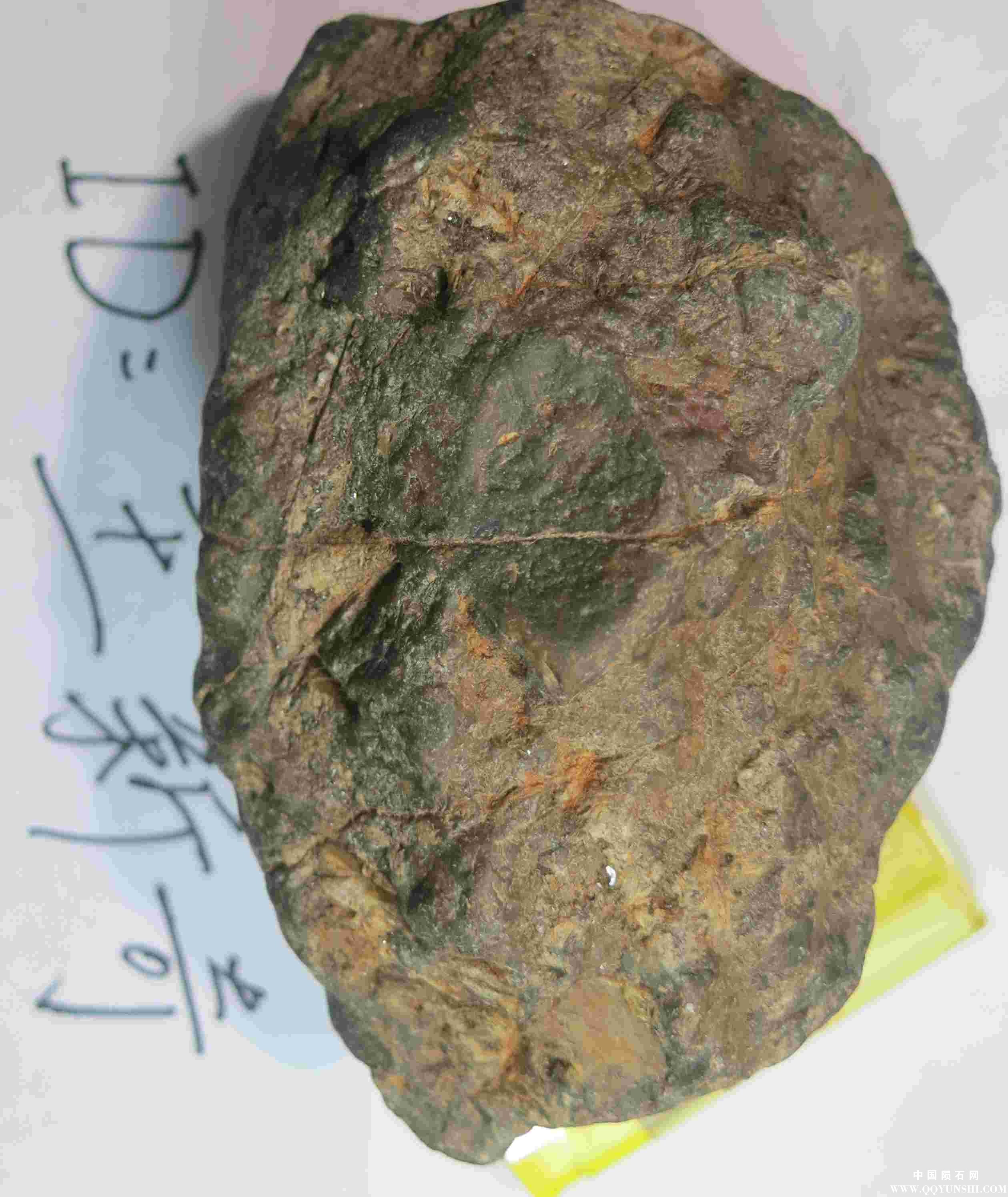 照片 513.jpg