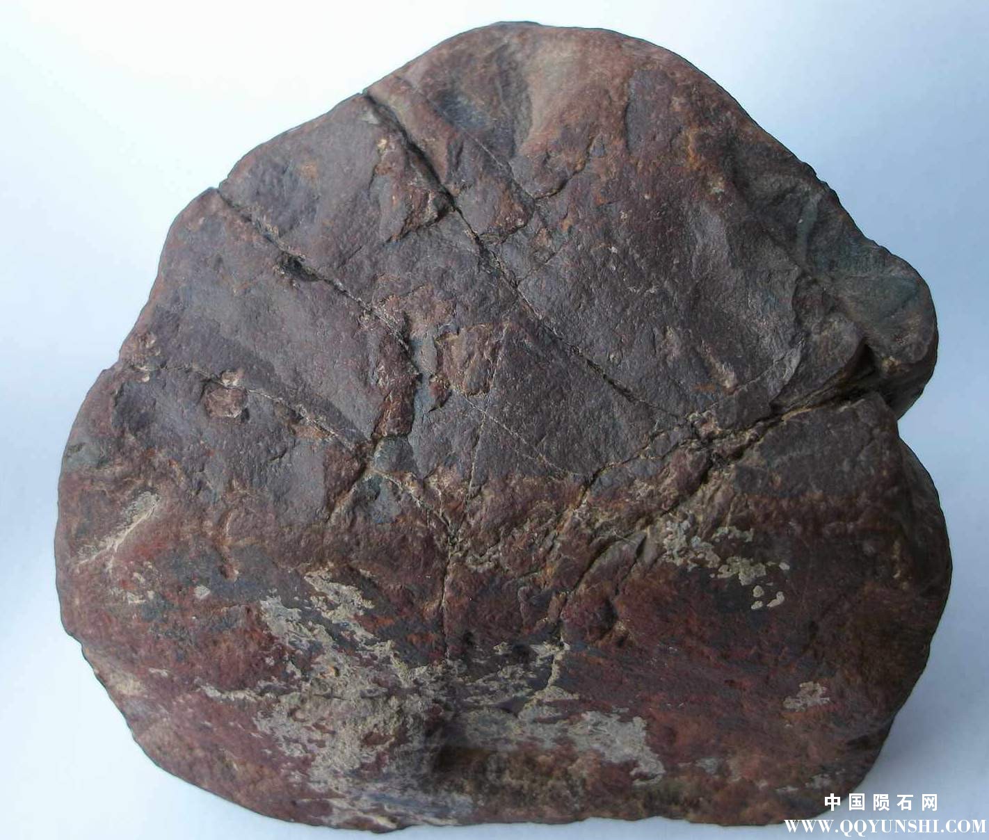 ALIM1324.JPG