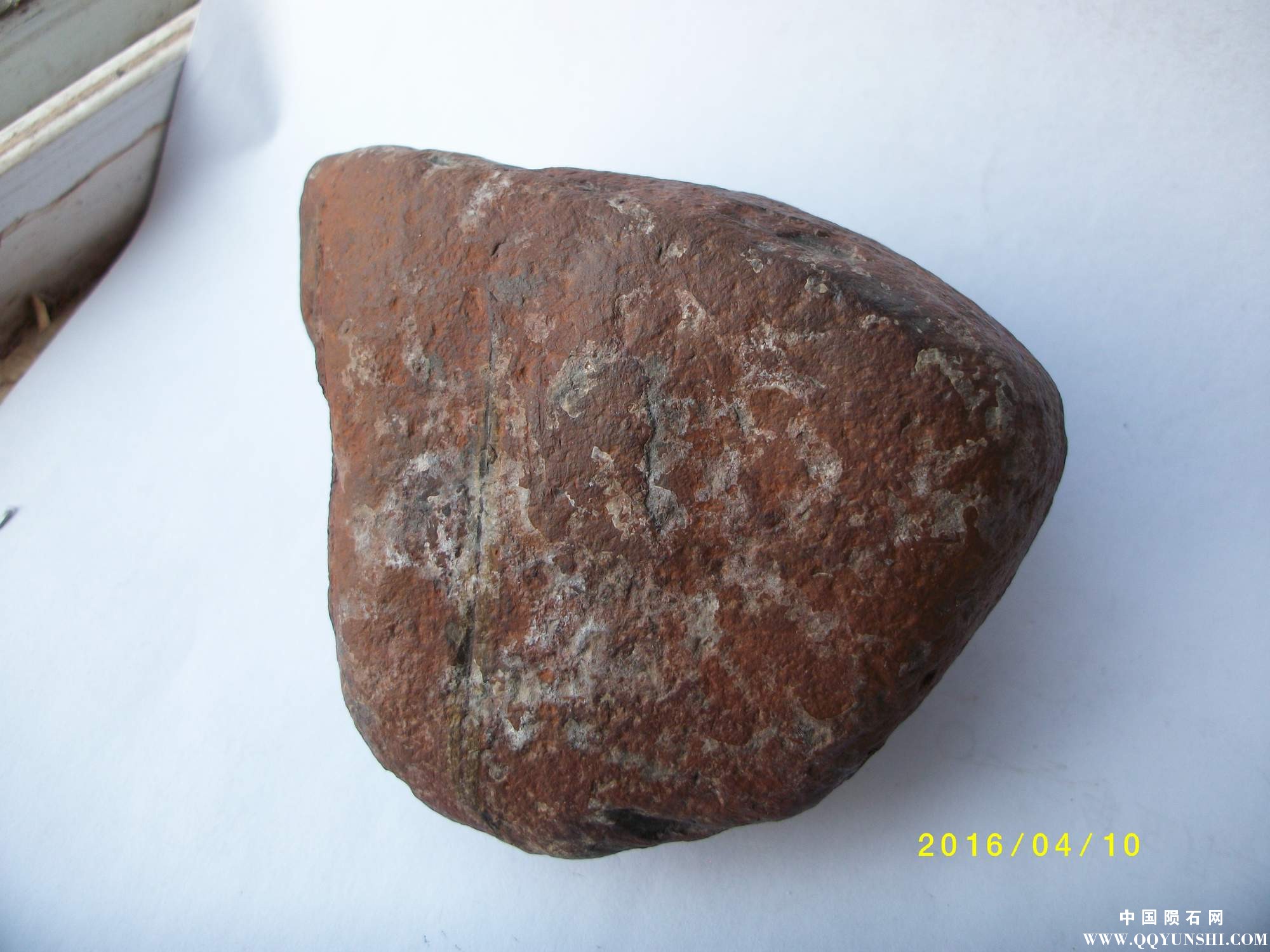 ALIM1329.JPG