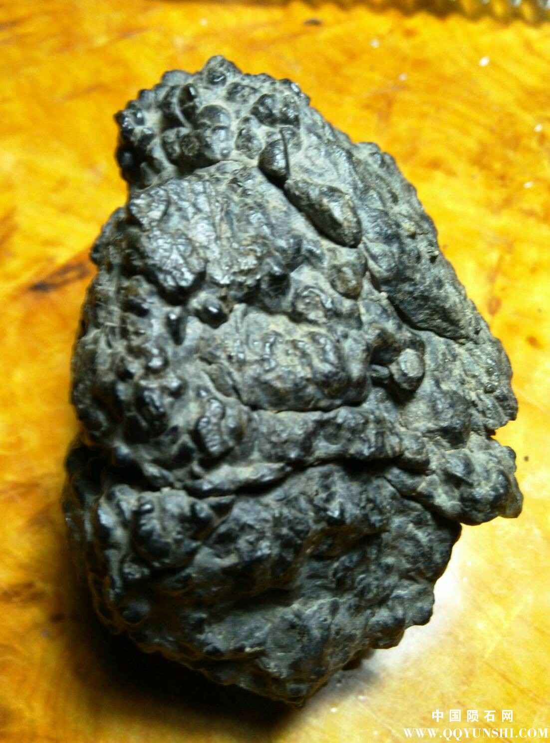 IMG201604.jpg